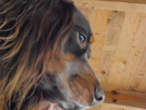 566113_549385171754953_674696189_n