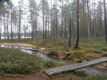 SAM_0142